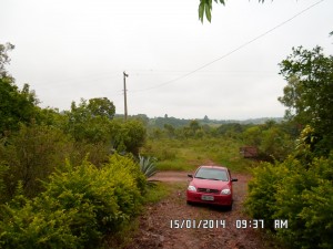 SAM_1196